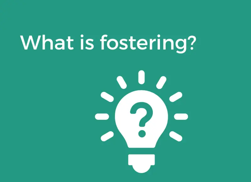 Bsf What Is Fostering